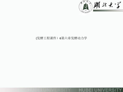 (发酵工程课件)6第六章发酵动力学