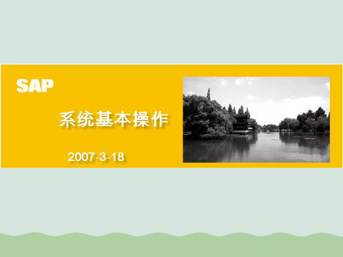 浅析SAP系统的基本操作ppt(共35页)