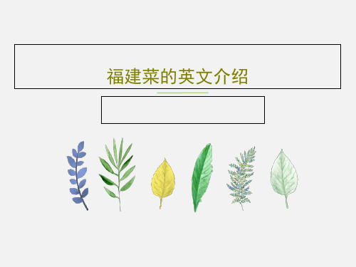 福建菜的英文介绍PPT共17页