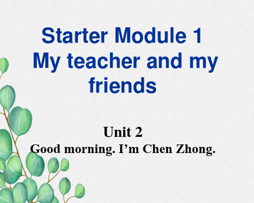 外研版StarterU2 Good morning I’MChen8课件