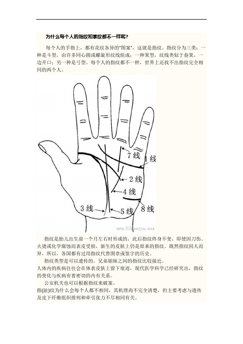 为什么每个人的指纹和掌纹都不一样呢