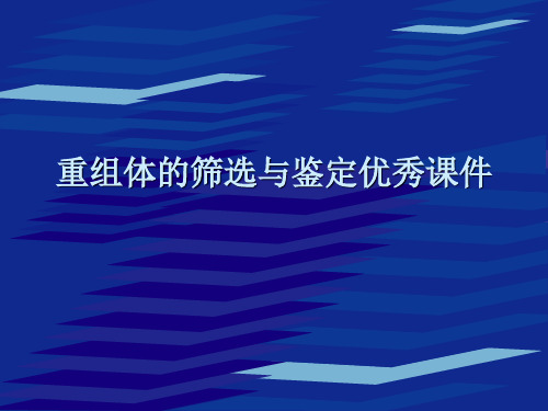 重组体的筛选与鉴定优秀课件