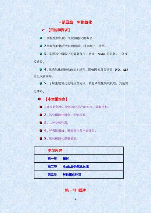 生物化学讲义第四章生物氧化