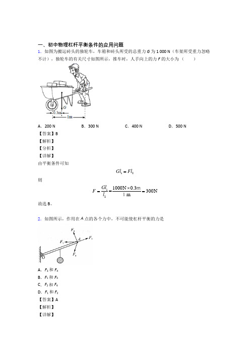 物理杠杆平衡的专项培优 易错 难题练习题含答案