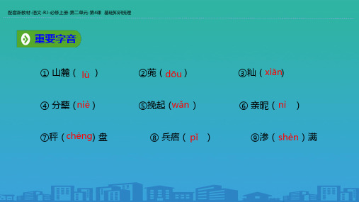 2019年秋人教版(2019新教材)高中语文必修1教学课件:第二单元 第4课 基础知识梳理 (共12张PPT)