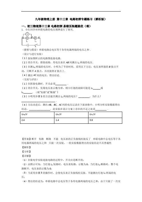 九年级物理上册 第十三章 电路初探专题练习(解析版)