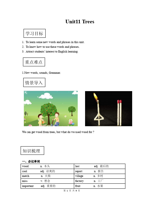 六年级上册英语讲义-Unit11 Trees 知识点讲解+习题练习+拓展延伸(有答案) 沪教牛津版