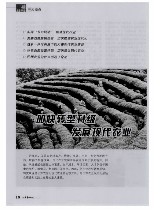 加快转型升级 发展现代农业——实施“五化联动”现代推进农业