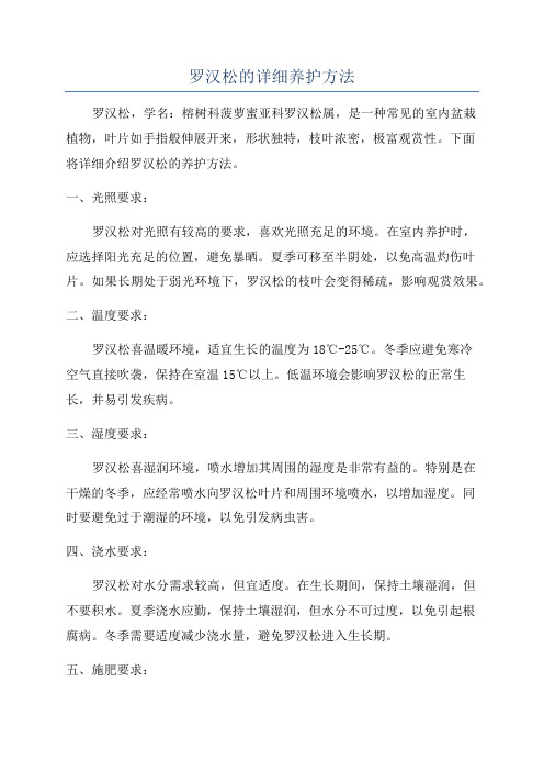 罗汉松的详细养护方法