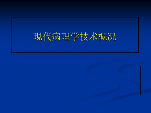 现代病理学技术概况ppt课件