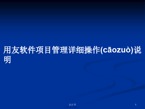 用友软件项目管理详细操作说明学习教案