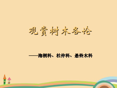 农业类观赏树木各论(海桐科、杜仲科、悬铃木科)PPT优秀课件