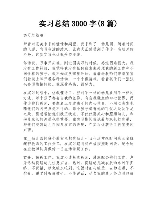 实习总结3000字(8篇)