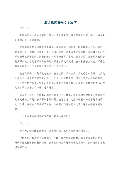 海边抓螃蟹作文800字