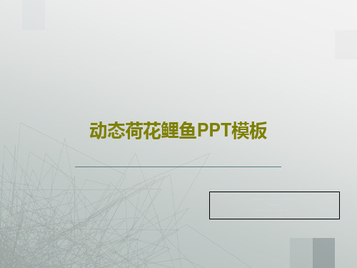 动态荷花鲤鱼PPT模板共25页文档