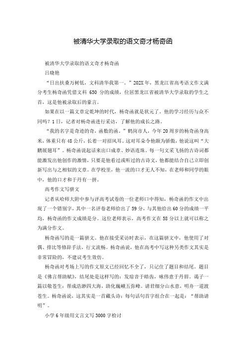 被清华大学录取的语文奇才杨奇函