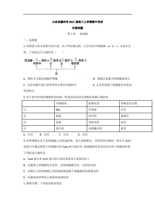 山东省滕州市2018届高三上学期期中考试生物试题