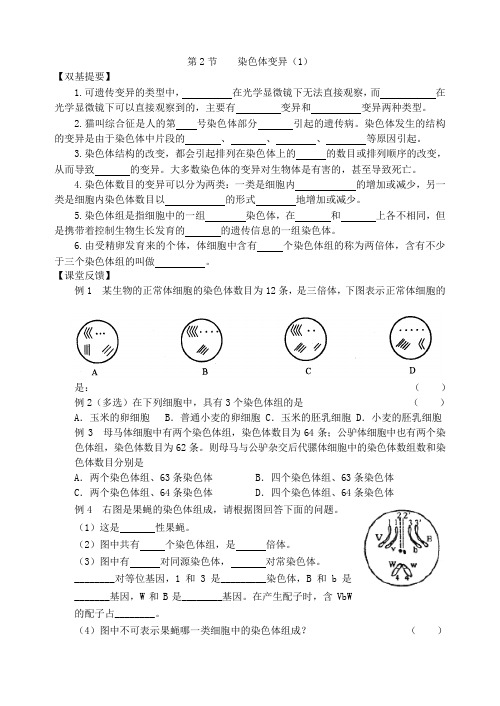 高一生物染色体变异测试1