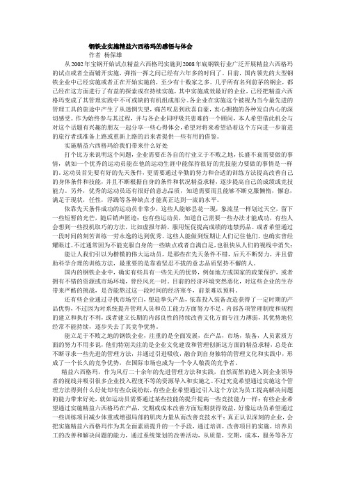 钢铁业实施精益六西格玛的感悟与体会