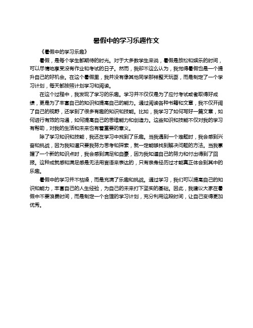 暑假中的学习乐趣作文