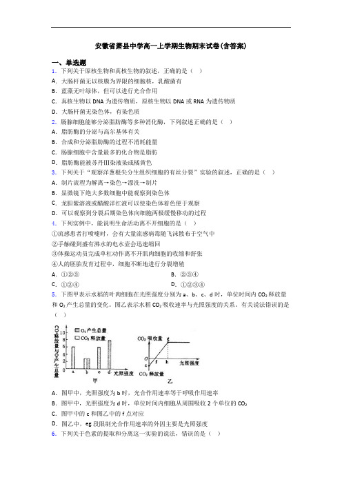 安徽省萧县中学高一上学期生物期末试卷(含答案)