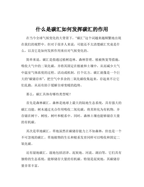 什么是碳汇如何发挥碳汇的作用