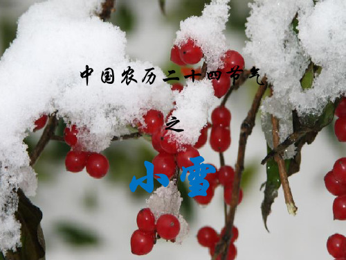 二十四节气之“小雪”ppt课件