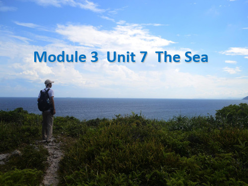 高一英语Module 3  Unit 7  The Sea全部精品教学课件