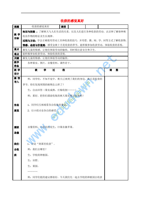 二年级品德与生活上册 收获的感觉真好教案2 北师大版