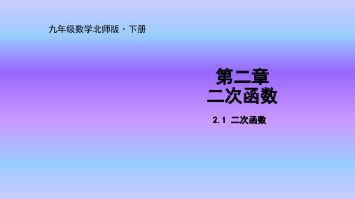 北师大版数学九年级下册课件2.1 二次函数