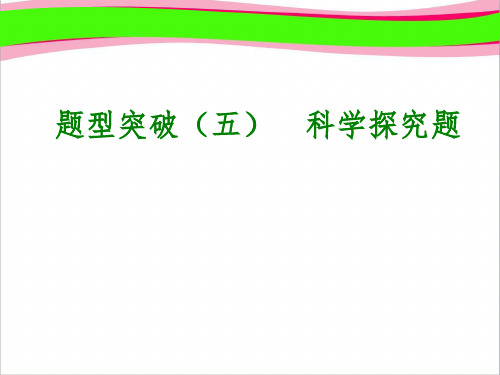 通用版中考化学专题复习题型突破 科学探究题课件新人教版