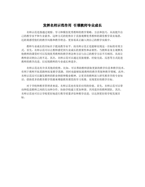 发挥名师示范作用 引领教师专业成长