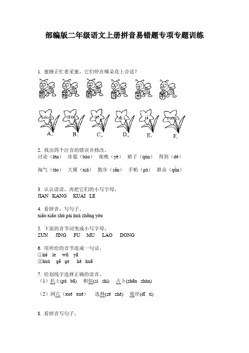 部编版二年级语文上册拼音易错题专项专题训练