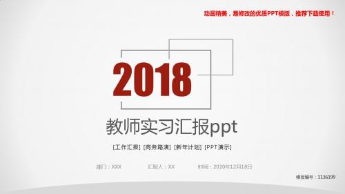 【优质文档】2018-2019新教师实习汇报ppt【实用ppt】