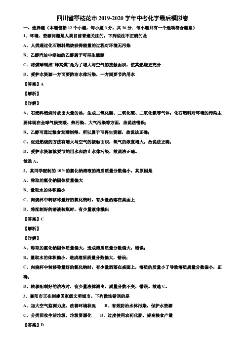 四川省攀枝花市2019-2020学年中考化学最后模拟卷含解析