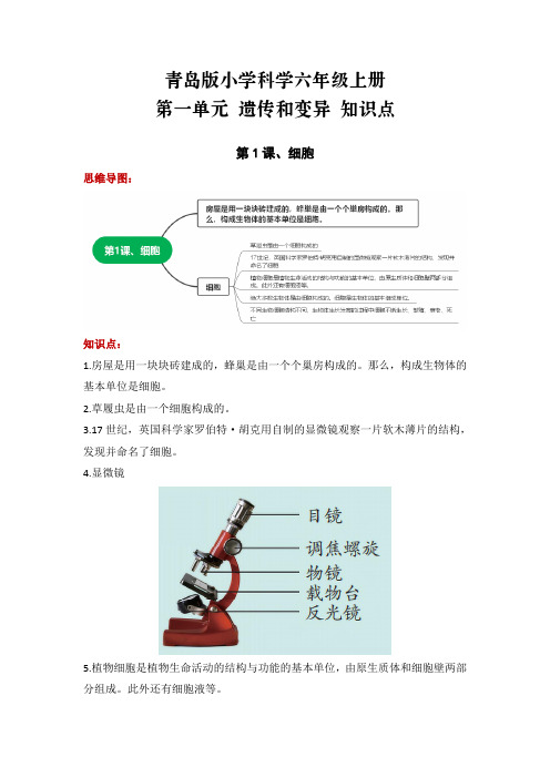 青岛版小学科学六年级上册第一单元 遗传和变异 知识点