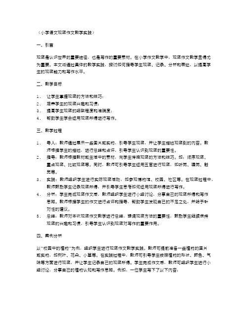 小学语文观察作文教学实践