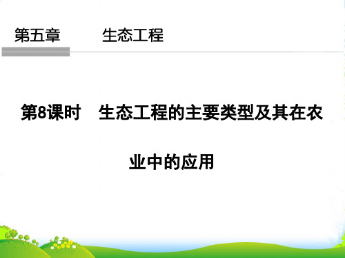 版课堂讲义同步系列高中生物浙科版选修三课件：358生态工程的主要类型及其在农业中的应用