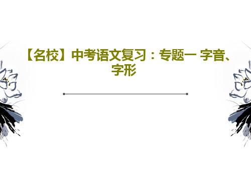 【名校】中考语文复习:专题一 字音、字形共27页文档