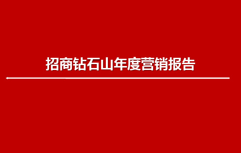 房地产项目年度营销策划方案(2)