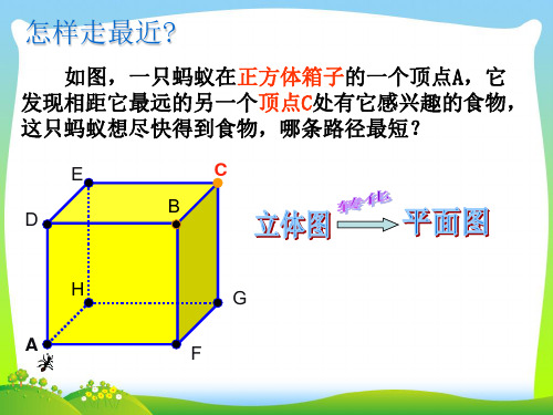 浙教版九年级数学下册第三章《 3.4简单几何体的表面展开图》公开课课件(共21张PPT)