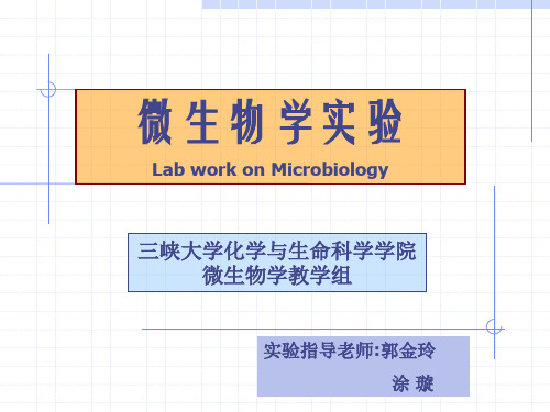 实验一实验室环境和人体表面微生物检查常用器皿的包扎