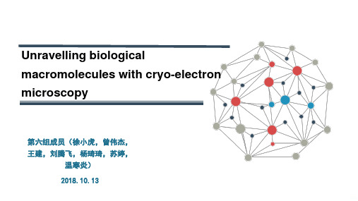 冷冻电镜揭示生物大分子六组PPT课件