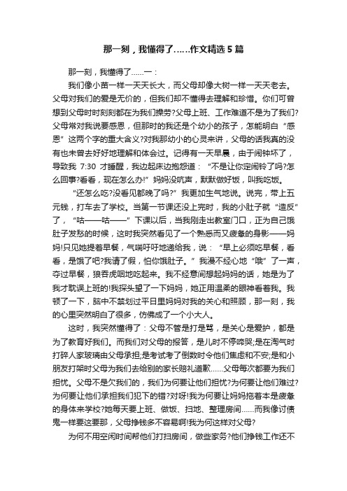 那一刻，我懂得了……作文精选5篇