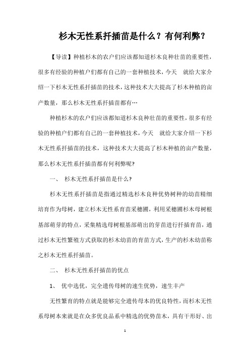 杉木无性系扦插苗是什么?有何利弊?