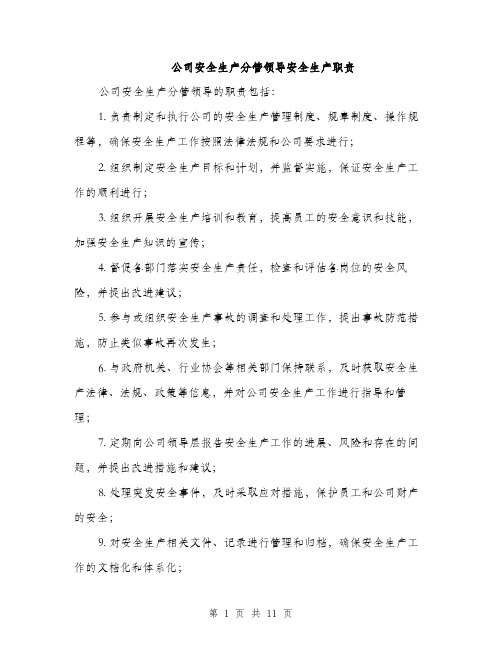 公司安全生产分管领导安全生产职责（4篇）