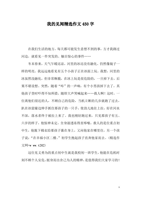 我的见闻精选作文450字