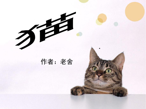 部编版四年级上册语文《猫》说课教学课件