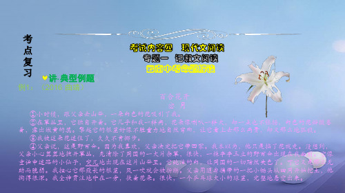 云南省中考语文 专题一 记叙文阅读复习PPT课件