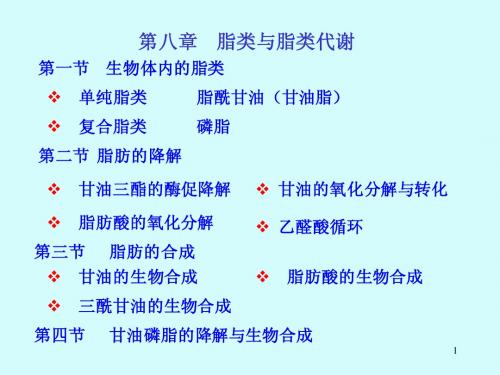第八章 脂类与脂类代谢